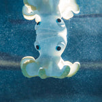 Orlando the Octopus - Jouet de Bain