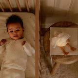 Oie câline Lumière & Son - Petite Oie