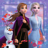 Puzzles reinde des neige 3x49 pièces