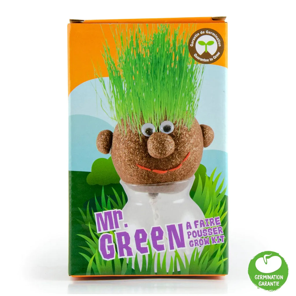 Mr Green - tête à pousser avec graines de gazon – La picorette