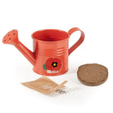 Mini arrosoir rouge avec graines de coquelicot