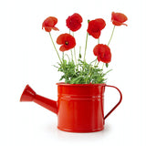 Mini arrosoir rouge avec graines de coquelicot