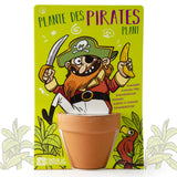 Pirate et son bananier à semer