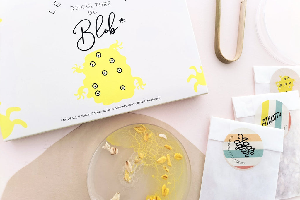 Blob Kit de culture – La picorette