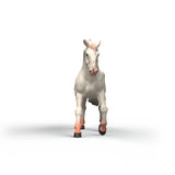 Jument knabstrupper - Figurine 14917
