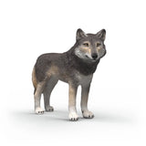 Loup americain- Figurine