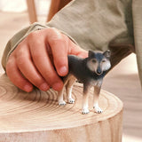 Loup americain- Figurine