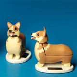 Elroy, le corgi solaire royal