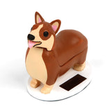 Elroy, le corgi solaire royal