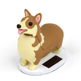 Elroy, le corgi solaire royal