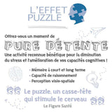 Puzzle 1000 pièces - Pac-Man (Challenge Puzzle)
