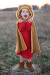 Cape lion 2-3 ans