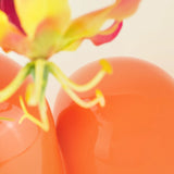 Vase Sulcus - Donkey Product