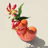 Vase Sulcus - Donkey Product