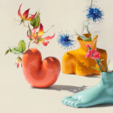 Vase Sulcus - Donkey Product