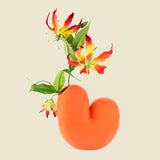 Vase Sulcus - Donkey Product