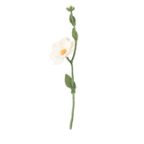 ENDLESS FLOWERS - Les fleurs éternelles en laine (3 modèles)