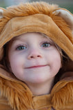 Cape lion 2-3 ans