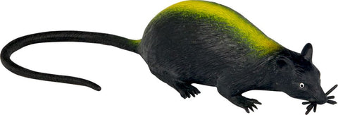 Rat d'égout - Wild+Cool