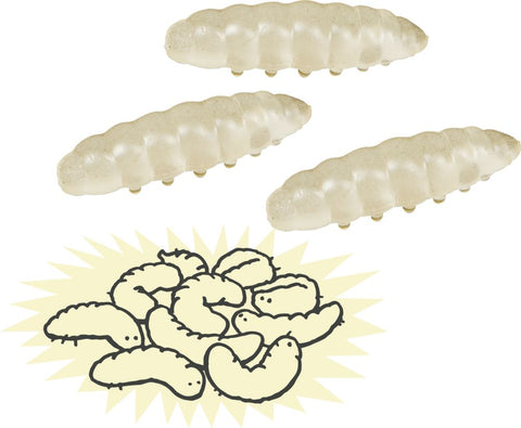 Asticots gluants fluorescents - Wild+Cool