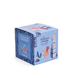 Cubes empilables - Les aventures de Paulie
