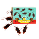 Boite de 10 cafards - Farce et attrappe