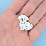 Pin's bichon-  Coucou Suzette