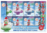 Frost Pips Mini blooms - Lutins dans leur mini-fleur (4 couleurs)