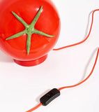 Lampe Tomate