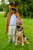 Cape de berger allemand 2-3 ans