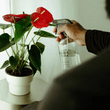 Flacon pulvérisateur Karma Spray