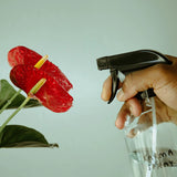 Flacon pulvérisateur Karma Spray