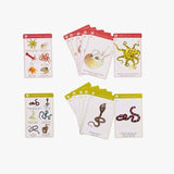 Jeu de 7 familles des espèces - Tout autour du monde