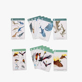 Jeu de 7 familles des espèces - Tout autour du monde