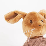 LENNY LAPIN COMÉDIE MUSICALE