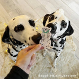 Pince à cheveux Dalmatien- Coucou Suzette