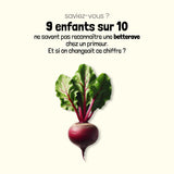 Calendrier des fruits et légumes de saison