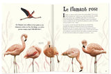 L'anthologie illustrée des animaux fascinants - Grand Format