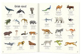 L'anthologie illustrée des animaux fascinants - Grand Format