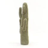 Amuseable desert cactus