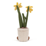 Amuseable Daffodil
