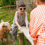 Lunettes de soleil BUZZ - Rayures sauge (2 tailles)