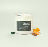 Mauvaises résolutions | Bougie labradorite "clarté mentale"