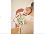 Doudou ours vert