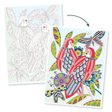 Colouring gallery - Oiseaux