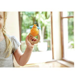 Ensemble de percussions de la nature