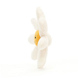 Fleury Daisy