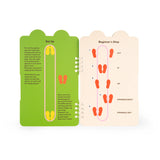 Elastique à sauter - Grenouille Kidoki