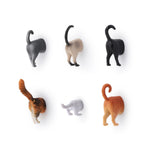 Aimants fesses de chat (Lot de 6) - Kikkerland