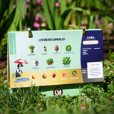 Calendrier des fruits et légumes de saison